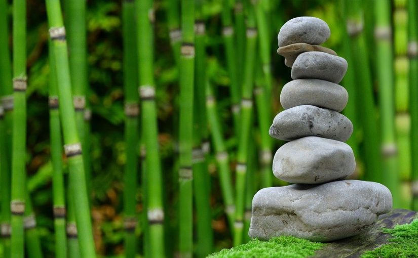 Ładny oraz porządny ogród to zasługa wielu godzin spędzonych  w jego zaciszu w toku pielegnacji.