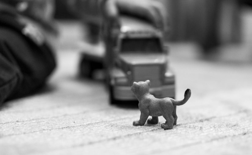 Każdy facet posiadający własne cztery kółka i nie tylko , marzy by jego auto czy jednoślad wyglądały jak najlepiej.