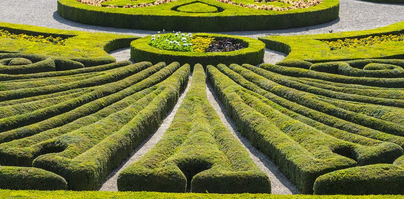 W jaki sposób urządzić ogród? Kompleksowy instrukcja dla entuzjastów ogrodnictwa